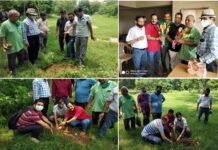 उत्तराखण्ड सांस्कृतिक समिति ग्रेटर नोएडा के सदस्यों ने वृक्षारोपण कर दिया पर्यावरण संरक्षण का संदेश