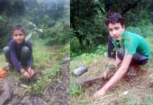 जब बच्चों ने भी लोक गायक नरेन्द्र सिंह नेगी के जन्मदिन पर लगाए वृक्ष नरेन्द्र सिंह नेगी plantation on Narendra Singh Negi