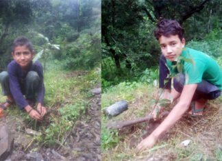 जब बच्चों ने भी लोक गायक नरेन्द्र सिंह नेगी के जन्मदिन पर लगाए वृक्ष नरेन्द्र सिंह नेगी plantation on Narendra Singh Negi