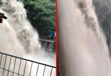 मसूरी में हुई भारी बारिश से कैंपटी फॉल में आया उफान, विकराल रूप देखकर दहशत में आए पर्यटक Kempty-Falls