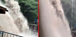 मसूरी में हुई भारी बारिश से कैंपटी फॉल में आया उफान, विकराल रूप देखकर दहशत में आए पर्यटक Kempty-Falls