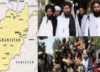 तमाम आतंकी संगठन तालिबान सरकार में देखने लगे अपना ‘भविष्य’, काबुल में डाला डेरा, पाक भी जश्न में Taliban government