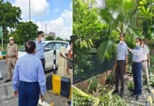 नॉलेज पार्क-2 से परी चौक के बीच मेट्रो लाइन एरिया होगा हरा-भरा, प्राधिकरण सीईओ ने शहर में कई जगह रखरखाव व हरियाली का लिया जायजा ceo-greno-authority