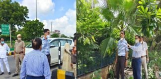 नॉलेज पार्क-2 से परी चौक के बीच मेट्रो लाइन एरिया होगा हरा-भरा, प्राधिकरण सीईओ ने शहर में कई जगह रखरखाव व हरियाली का लिया जायजा ceo-greno-authority
