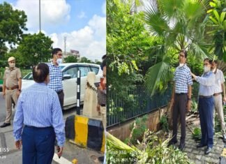 नॉलेज पार्क-2 से परी चौक के बीच मेट्रो लाइन एरिया होगा हरा-भरा, प्राधिकरण सीईओ ने शहर में कई जगह रखरखाव व हरियाली का लिया जायजा ceo-greno-authority