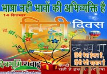 हिंदी दिवस पर विशेष : एक सूत्र में बांधने के साथ मधुरता और अपनेपन का एहसास कराती है हिंदी Special Story on Hindi Divas