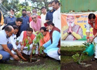 मुख्यमंत्री धामी ने प्रधानमंत्री नरेन्द्र मोदी के जन्म दिवस पर मुख्यमंत्री आवास में किया वृक्षारोपण cm Dhami planted a tree at the cm residence on the birthday of pm Modi