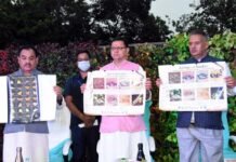 मुख्यमंत्री ने वन्य जीव सप्ताह 2021 का किया शुभारम्भ, टाईगर रिजर्व सहित इन जगहों पर 18 साल तक के बच्चों को मिलेगी फ्री एंट्री Wildlife Week 2021