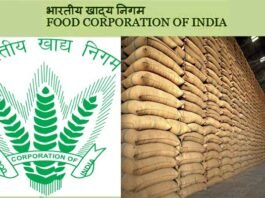 सरकारी नौकरी : फूड कारपोरेशन ऑफ़ इंडिया (FCI) में बेरोजगार युवाओं के लिए निकली हैं भर्तियां, यहाँ देखें पूरी डिटेल fci-recruitment-2021
