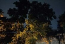 Karwa Chauth 2021: दिल्ली-एनसीआर सहित कई राज्यों में मूसलाधार बारिश, चांद नहीं दिखा तो ऐसे खोलें व्रत