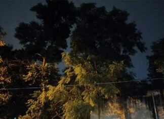 Karwa Chauth 2021: दिल्ली-एनसीआर सहित कई राज्यों में मूसलाधार बारिश, चांद नहीं दिखा तो ऐसे खोलें व्रत
