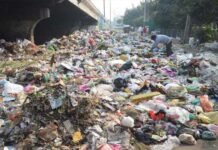 प्रदूषण पर ग्रेनो प्राधिकरण अलर्ट, घास लगाने की अपील