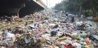 प्रदूषण पर ग्रेनो प्राधिकरण अलर्ट, घास लगाने की अपील