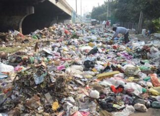 प्रदूषण पर ग्रेनो प्राधिकरण अलर्ट, घास लगाने की अपील