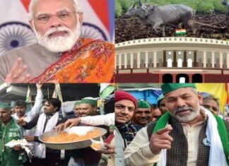 कृषि कानून वापसी को लेकर पीएम मोदी के ऐलान से किसानों में ख़ुशी, जानिए क्या थी फैसला वापस लेने की वजह!, विपक्ष की रणनीति भी हुई कमजोर Agricultural laws