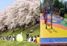 ग्रेटर नोएडा में दिखेगा चंडीगढ़ के फॉल कलर का नजारा, एक ग्रीन बेल्ट में एक जैसे पौधे बढ़ाएंगे ग्रेनो की खूबसूरती open-gym-Greater-Noida