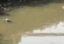 खुले में सीवर डालने से रोका, तो प्राधिकरण कर्मी पर वाहन चढ़ाने की कोशिश pouring sewer in the open