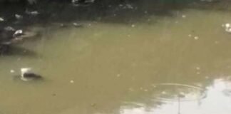 खुले में सीवर डालने से रोका, तो प्राधिकरण कर्मी पर वाहन चढ़ाने की कोशिश pouring sewer in the open