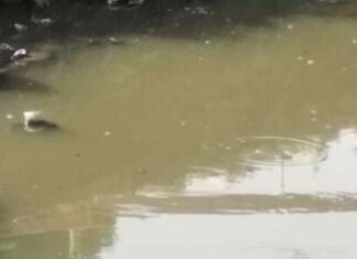 खुले में सीवर डालने से रोका, तो प्राधिकरण कर्मी पर वाहन चढ़ाने की कोशिश pouring sewer in the open