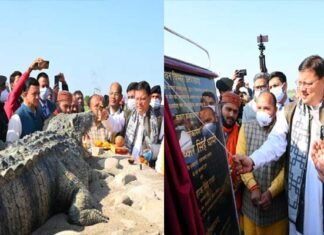 सीएम धामी ने उत्तराखंड के पहले क्रोकोडाइल ट्रेल का किया शुभारंभ, पर्यटक अब यहां करीब से देख सकेंगे मगरमच्छों की दुनिया Kakra Crocodile Trail uttarakhand