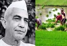 राष्ट्रीय किसान दिवस : किसानों के अधिकार और उनके विकास के लिए चौधरी चरण सिंह कभी पीछे नहीं हटे chaudhary-charan-singh
