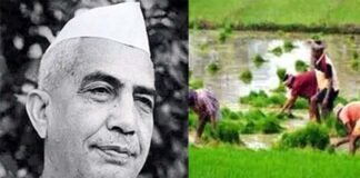 राष्ट्रीय किसान दिवस : किसानों के अधिकार और उनके विकास के लिए चौधरी चरण सिंह कभी पीछे नहीं हटे chaudhary-charan-singh