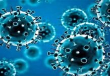 हिमाचल प्रदेश के एक स्कूल में 23 छात्रों के कोरोना पॉजिटिव होने से मचा हड़कंप corona positive in a school in Himachal Pradesh