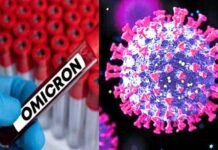 उत्तराखंड में ओमिक्रॉन का पहला मामला सामने आया, 23 वर्षीय युवती पाई गई संक्रमित, देश में अब तक 238 मामले omicron case in uttarakhand