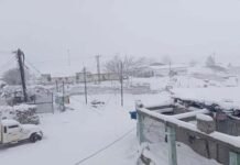 उत्तराखंड के पहाड़ी इलाकों में आज हुई जमकर बर्फबारी, खुश नजर आए पर्यटक snowfall-in-uttarakhand