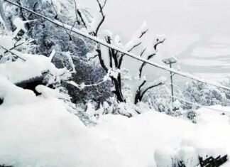 बर्फबारी के चलते शीतलहर की चपेट में उत्तराखंड, मसूरी सहित कई जगहों पर शून्य से नीचे पहुंचा तापमान, मौसम विभाग ने येलो अलर्ट किया जारी snowfall-in-uttarakhand