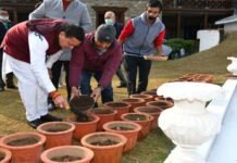 सीएम धामी ने मुख्यमंत्री आवास परिसर में ट्यूलिप की 07 प्रजातियों का किया रोपण
