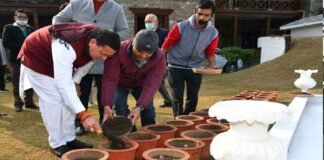 सीएम धामी ने मुख्यमंत्री आवास परिसर में ट्यूलिप की 07 प्रजातियों का किया रोपण
