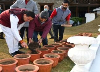 सीएम धामी ने मुख्यमंत्री आवास परिसर में ट्यूलिप की 07 प्रजातियों का किया रोपण