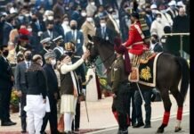 विराट की विदाई : तीन दिन बाद भी गणतंत्र दिवस का वह यादगार पल अभी भी छाया सोशल मीडिया पर Virat-horse-farewell