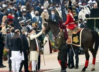 विराट की विदाई : तीन दिन बाद भी गणतंत्र दिवस का वह यादगार पल अभी भी छाया सोशल मीडिया पर Virat-horse-farewell