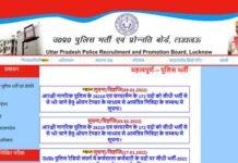 यूपी पुलिस में निकली 900 से ज्यादा पदों पर भर्ती, देखें आवेदन की प्रक्रिया UP Police Recruitment