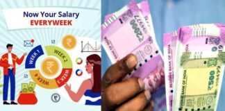 Weekly Pay Policy: देश की इस बड़ी कंपनी में अब कर्मचारियों को हर हफ्ते मिलेगी सैलरी, देखें साप्ताहिक वेतन देने के पीछे का तर्क indiamart weekly salary policy