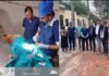 ग्रेटर नोएडा में लावारिस कुत्तों का पहला नसबंदी केंद्र शुरू, इस नंबर पर करें कॉल, नसबंदी के बाद पहचान के लिए कुत्ते के गले में पहनाया जाएगा पट्टा sterilization center for dogs