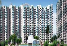 ग्रेटर नोएडा प्राधिकरण की तक की सबसे बड़ी कार्रवाई, इस सोसाइटी पर लगाया एक करोड़ का जुर्माना, जानिए क्यों