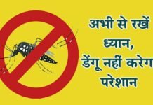 अभी से रखें ध्यान, डेंगू नहीं करेगा परेशान स्वास्थ्य विभाग की सलाह-अच्छी तरह साफ करने के बाद ही इस्तेमाल करें कूलर-एसी अभी से रखें ध्यान, डेंगू नहीं करेगा परेशान