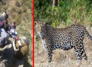 पौड़ी : गाँव से कुछ दूर झाड़ियों में मिला बुजुर्ग का शव, ग्रामीणों में गुलदार की दहशत