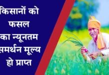 किसानों को उनकी फसल का न्यूनतम समर्थन मूल्य हो प्राप्त, इस प्रकार से कार्यवाही सुनिश्चित करें अधिकारीगण फसल का लाभकारी मूल्य