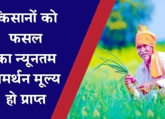 किसानों को उनकी फसल का न्यूनतम समर्थन मूल्य हो प्राप्त, इस प्रकार से कार्यवाही सुनिश्चित करें अधिकारीगण फसल का लाभकारी मूल्य