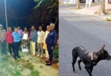 प्रोजेक्ट भैरव से नसबंदी के साथ ही तैयार हो रहा स्ट्रे डॉग का बायोडाटा, 5 सेक्टरों के 34 डॉग की नसबंदी व वैकसीनेशन के बाद गले में पट्टा पहनाकर छोड़ा Project Bhairav-stray-dog-sterilization