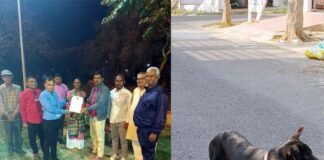 प्रोजेक्ट भैरव से नसबंदी के साथ ही तैयार हो रहा स्ट्रे डॉग का बायोडाटा, 5 सेक्टरों के 34 डॉग की नसबंदी व वैकसीनेशन के बाद गले में पट्टा पहनाकर छोड़ा Project Bhairav-stray-dog-sterilization