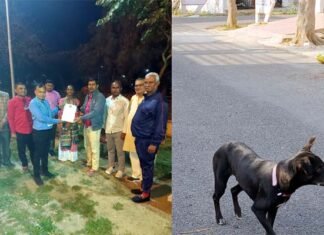 प्रोजेक्ट भैरव से नसबंदी के साथ ही तैयार हो रहा स्ट्रे डॉग का बायोडाटा, 5 सेक्टरों के 34 डॉग की नसबंदी व वैकसीनेशन के बाद गले में पट्टा पहनाकर छोड़ा Project Bhairav-stray-dog-sterilization