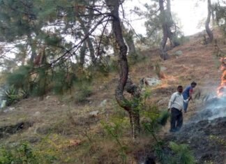 वन पंचायत के माइक्रोप्लान गठन को लेकर डांगी गाँव में कल होगी कार्यशाला, डीएफओ सोहल लाल होंगे मौजूद