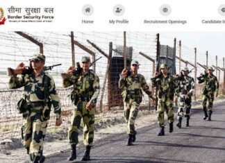 BSF SI JE Recruitment 2022: सीमा सुरक्षा बल में निकली सब-इंस्पेक्ट, इंस्पेक्टर और जूनियर इंजीनियर के पदों पर भर्ती BSF SI JE Recruitment