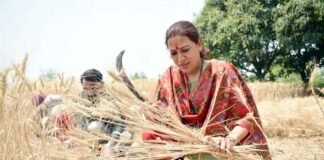 कैबिनेट मंत्री रेखा आर्य ने भरी दोपहरी में काटी गेहूं की फसल, महिला किसानों को किया सम्मानित Cabinet Minister Rekha Arya harvested wheat crop
