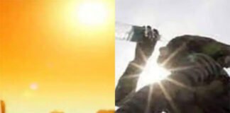 समय से पहले सताने लगी गर्मी, मौसम विभाग ने 9 राज्यों में लू चलने का जारी किया अलर्ट